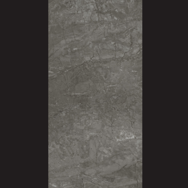 Elegant Ash - Image 2