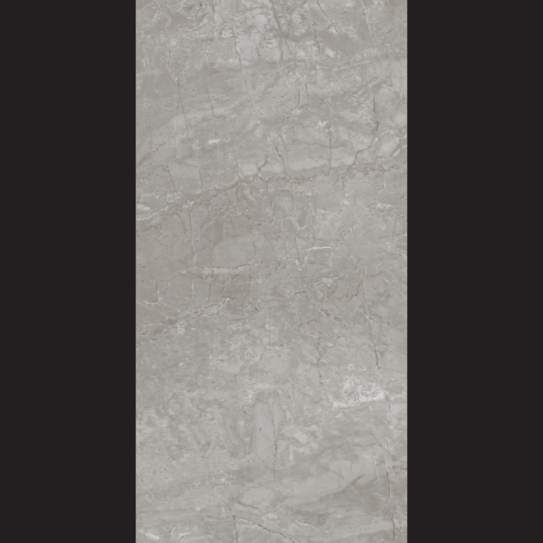 Elegant Grey - Image 2